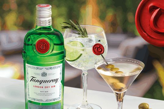 A vibrant setup featuring a bottle of green London dry gin alongside two stylish cocktails: one garnished with lime and rosemary, the other with olives, set against a blurred outdoor background, featured in the Tanqueray Charcuterie Sweepstakes