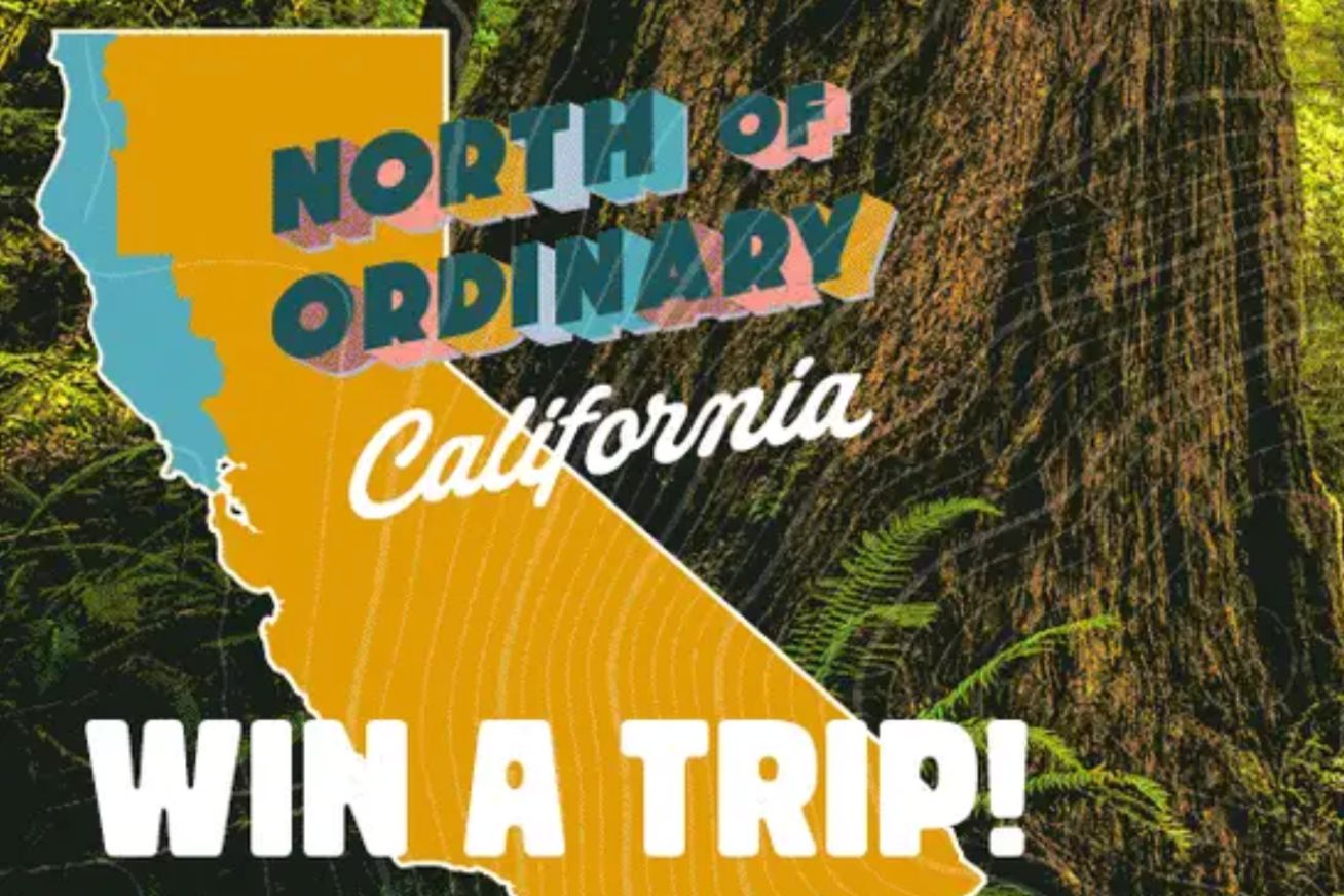 A colorful map of California highlights the northern region, surrounded by lush greenery and towering trees, inviting viewers to win a trip to this scenic area, featured in the North of Ordinary California’s Ultimate Road Trip Winter 2026