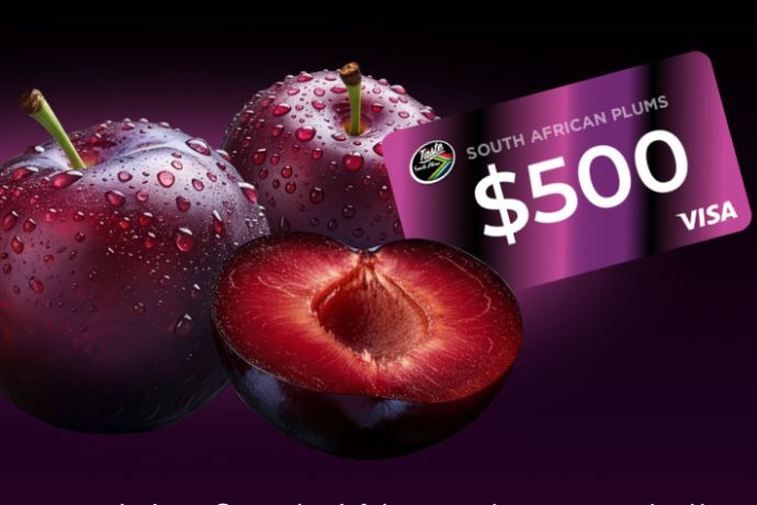Three plump South African plums, glistening with water droplets, are displayed alongside a halved plum, showcasing its juicy interior and rich color, featured in the Hortgro $500 Sweepstakes