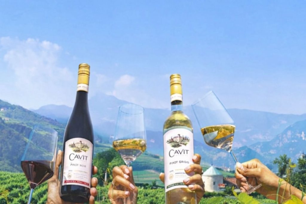 In a picturesque vineyard, two hands hold wine glasses filled with Pinot Grigio and Pinot Noir, toasting against a backdrop of mountains and blue skies, featured in the Cavit Made With Good Energy Sweepstakes