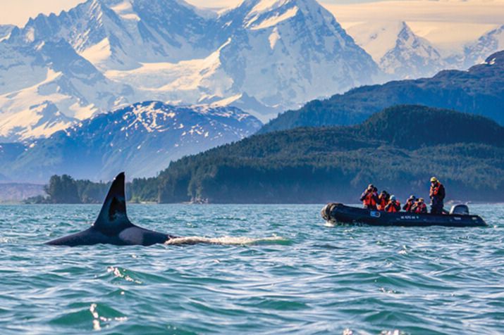 An orca surfaces in the water near a small boat with people observing, set against a backdrop of majestic mountains and lush forests under a clear sky, featured in the NatGeo Earth Month Sweepstakes