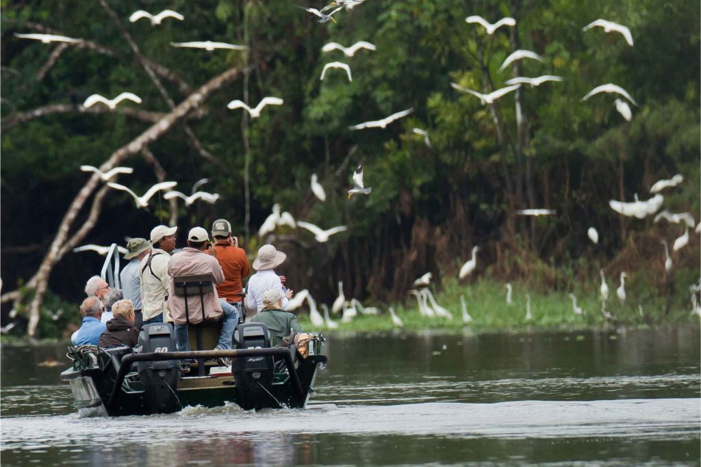 Travelers on a small boat explore the Peruvian Amazon as white birds fly overhead during a jungle river cruise, featured in a Visit Peru sweepstakes.