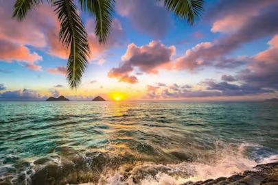 A vibrant sunset colors the sky over the ocean, with gentle waves lapping at the shore and palm fronds swaying in the breeze, creating a serene tropical atmosphere, featured in the Hawaiian Bros Hawaii Trip Sweepstakes