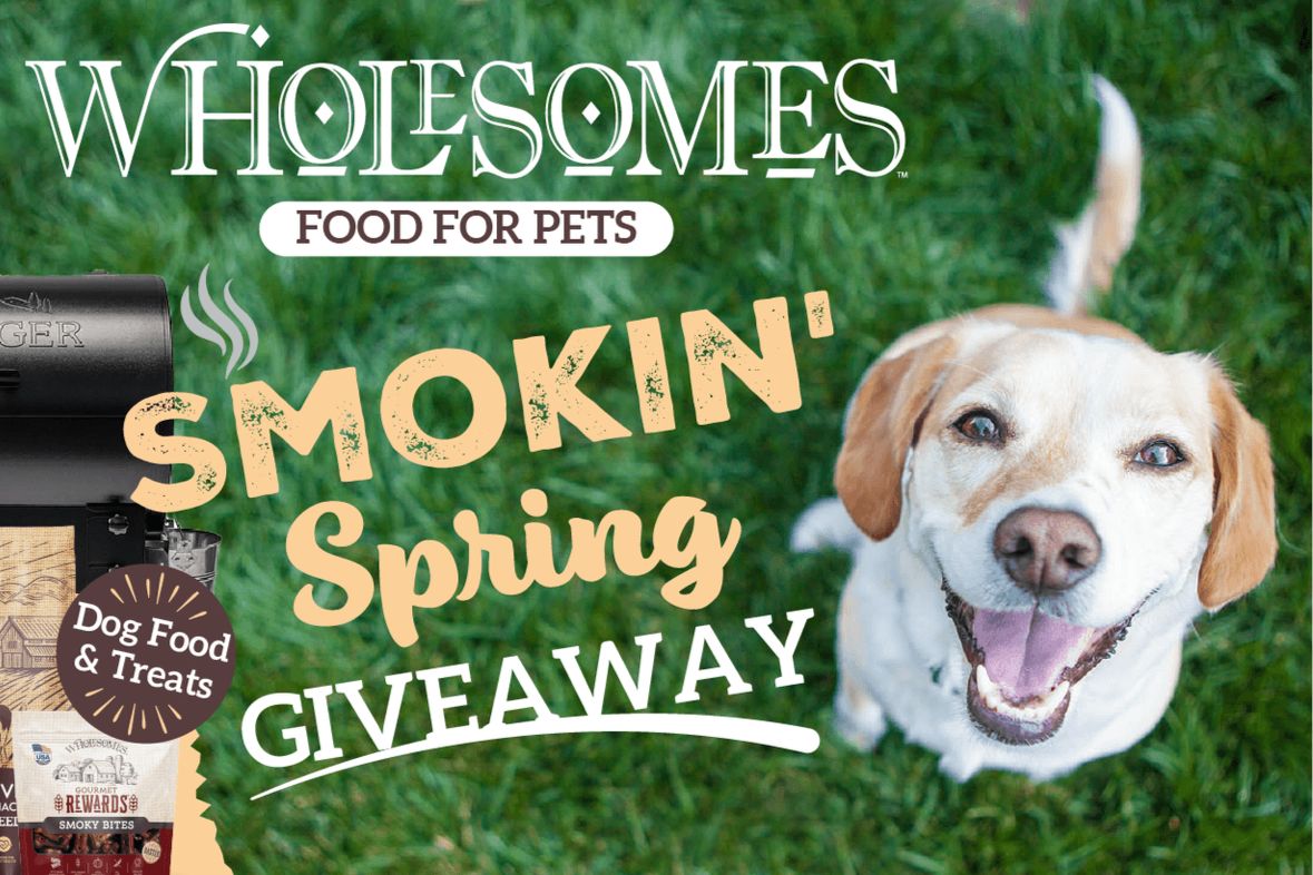 A happy dog with a big smile sits on lush green grass, surrounded by pet food packaging, as a cheerful spring giveaway is promoted nearby, featured in the Wholesomes Traeger Tailgater Sweepstakes