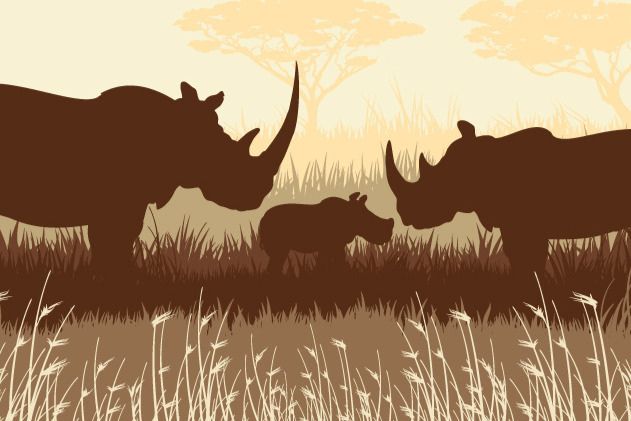 A silhouette of three rhinos, including a calf, stands in tall grass against a soft, golden background with sparse trees, suggesting a serene wildlife scene, featured in the Blue Rhino Trip Sweepstakes