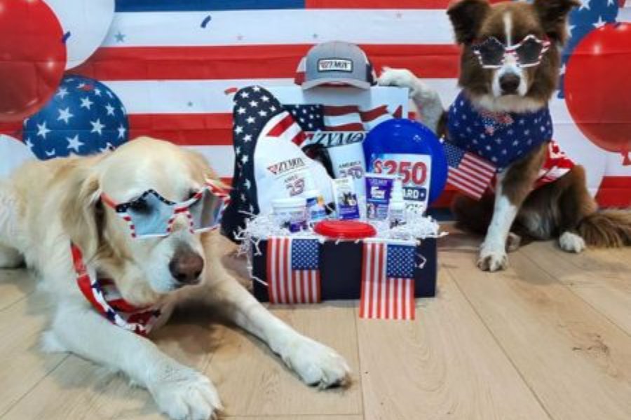 Two dogs, one golden retriever and one brown border collie, wear patriotic sunglasses and bandanas amid a festive backdrop of red, white, and blue decorations and a prize display, featured in the DOGTV Monthly Giveaway